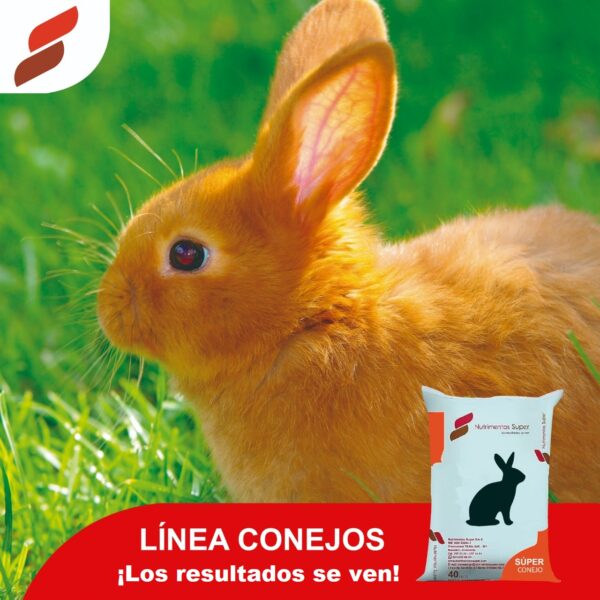 0012 SUPER CONEJOS * 20 kl.
