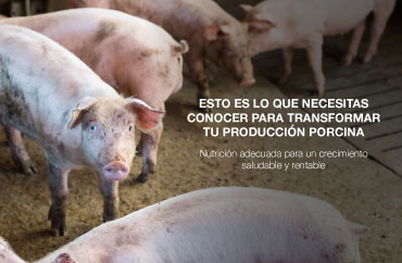 Esto es lo que necesitas conocer para transformar tu producción porcina.