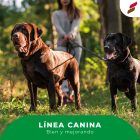 WhatsApp Image 2020-06-04 at 1.39.41 PM